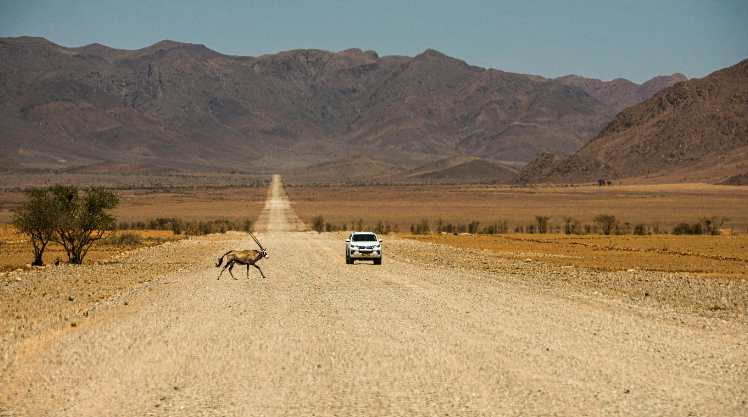 Essential 4x4 Travel Information and Practical Tips